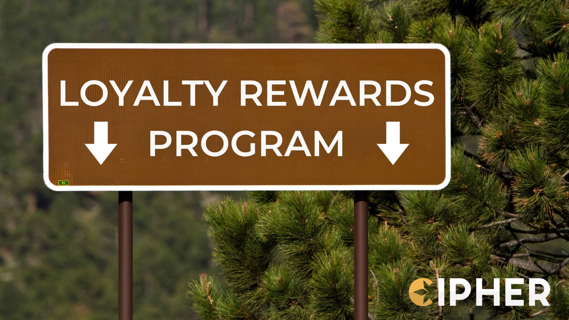 Cipher loyalty rewards program banner